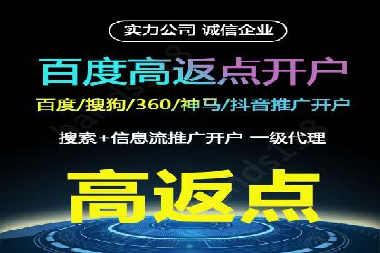 成功SEM托管代运营案例分析